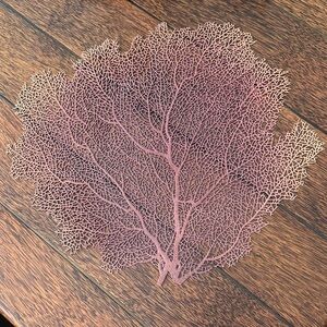 Great condition Faux red coral place mats from Pottery Barn set of 4